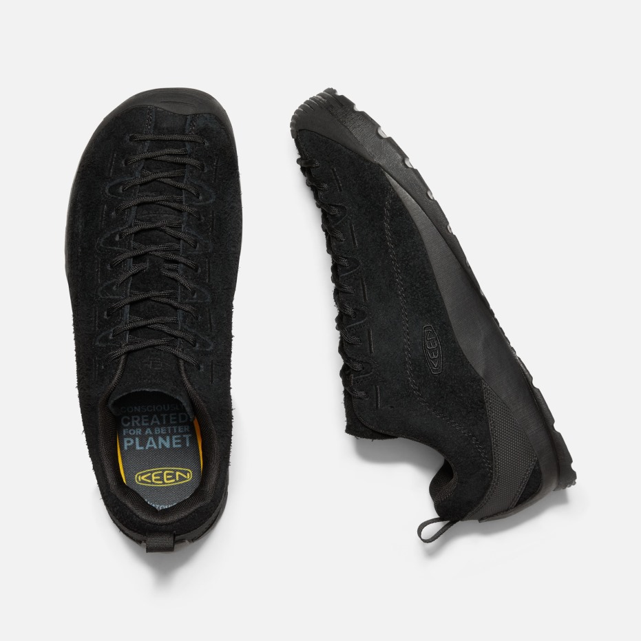 Harige Zwart-zwarte Scherpe Herenjaspis