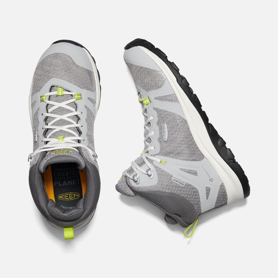 Damp-teunisbloem Terradora Ii Waterdichte Wandelschoenen Voor Dames